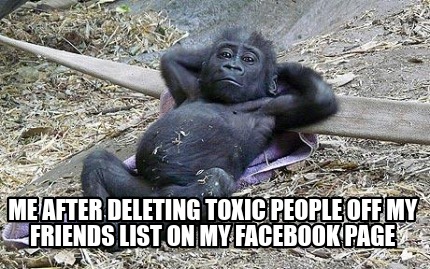 Meme Creator Funny Me After Deleting Toxic People Off My Friends List On My Facebook Page Meme Generator At Memecreator Org