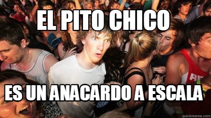 el-pito-chico-es-un-anacardo-a-escala