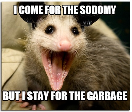 Meme Creator - Funny I come for the sodomy But I stay for the garbage ...