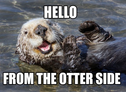 Meme Creator - Funny Hello From the otter side Meme Generator at ...