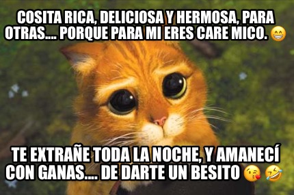 Meme Creator - Funny Cosita rica, deliciosa y hermosa, para otras....  porque para mi eres care mico. Meme Generator at !