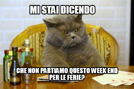 Meme Creator Funny Mi Stai Dicendo Che Non Partiamo Questo Week End