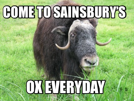 come-to-sainsburys-ox-everyday