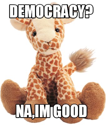 democracy-naim-good