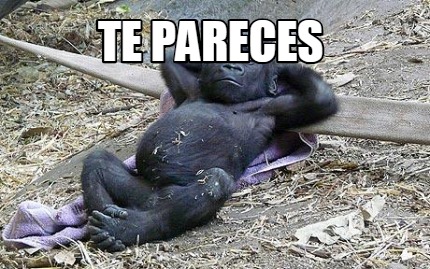 Meme Creator - Funny te pareces Meme Generator at MemeCreator.org!