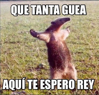 Meme Creator Funny Que Tanta Guea Aqu Te Espero Rey Meme Generator