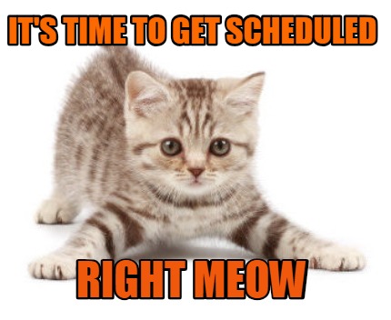 its-time-to-get-scheduled-right-meow