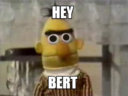 hey-bert6