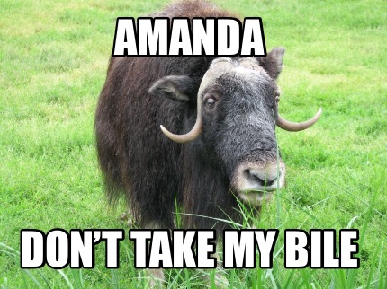 amanda-dont-take-my-bile