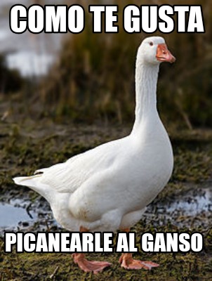 Meme Creator - Funny COMO TE GUSTA Picanearle al ganso Meme Generator ...