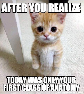 Meme Creator - Funny after you realize today was only your first class ...