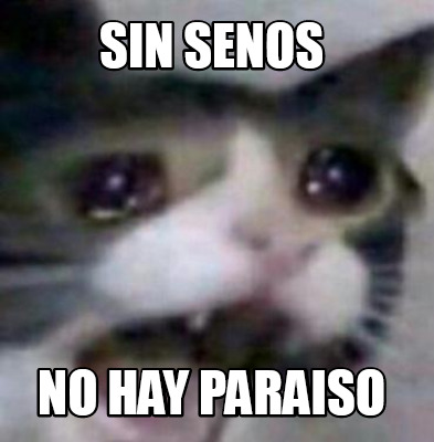 Meme Creator - Funny sin senos no hay paraiso Meme Generator at ...