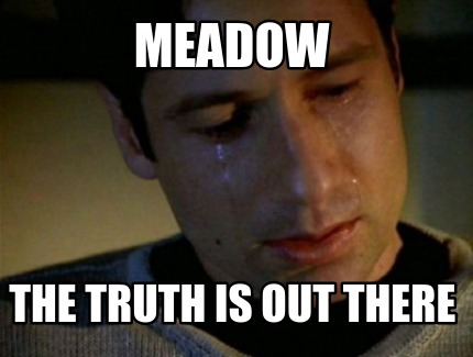 meadow-the-truth-is-out-there