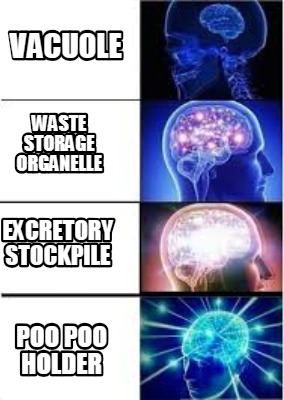 Meme Creator Funny Vacuole Poo Poo Holder Excretory Stockpile Waste Storage Organelle Meme