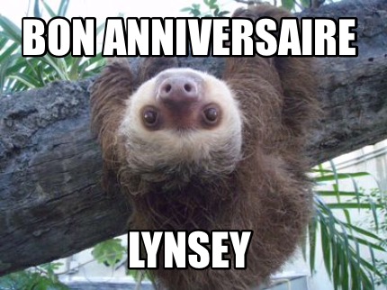 Meme Creator Funny Bon Anniversaire Lynsey Meme Generator At Memecreator Org