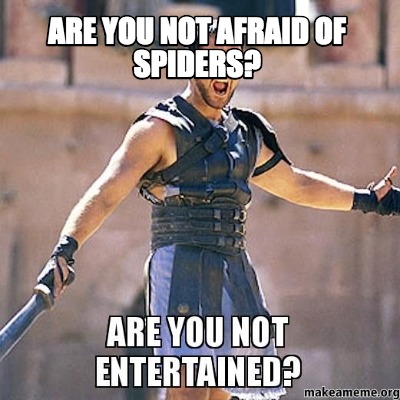 are-you-not-afraid-of-spiders