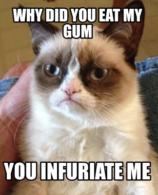 Meme Creator - Funny Why Did you eat my Gum You infuriate me Meme ...