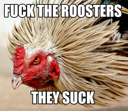 fuck-the-roosters-they-suck