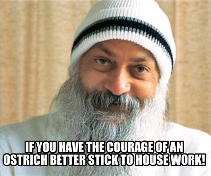 if-you-have-the-courage-of-an-ostrich-better-stick-to-house-work