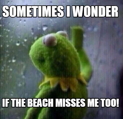 beach misses if meme too wonder funny memecreator sometimes memes generator kermit