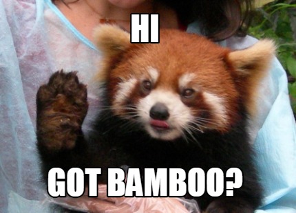 Meme Creator - Funny Hi Got Bamboo? Meme Generator At Memecreator.org!