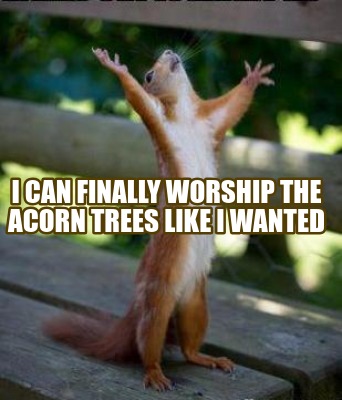 Meme Creator - Funny I Can Finally Worship The Acorn Trees Like I 