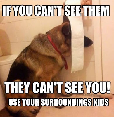 if-you-cant-see-them-they-cant-see-you-use-your-surroundings-kids