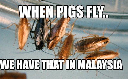 when-pigs-fly..-we-have-that-in-malaysia