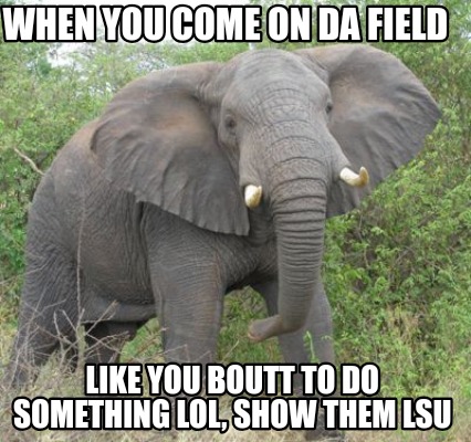 when-you-come-on-da-field-like-you-boutt-to-do-something-lol-show-them-lsu
