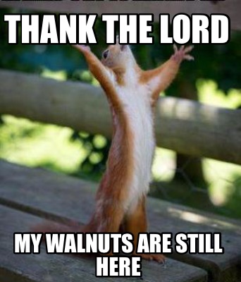 Meme Creator - Funny Thank the lord My walnuts are still here Meme ...