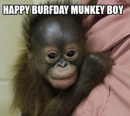 Meme Creator - Funny Happy burfday munkey boy Meme Generator at ...
