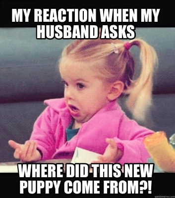 Meme Creator - Funny My reaction when my husband asks Where did this ...