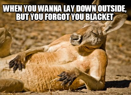 Meme Creator - Funny when you wanna lay down outside, but you forgot ...