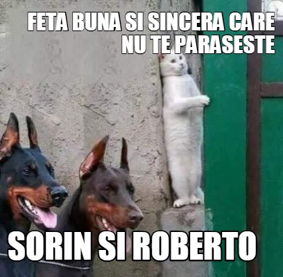 Meme Creator Funny Feta Buna Si Sincera Care Nu Te Paraseste Sorin Si Roberto Meme Generator At Memecreator Org