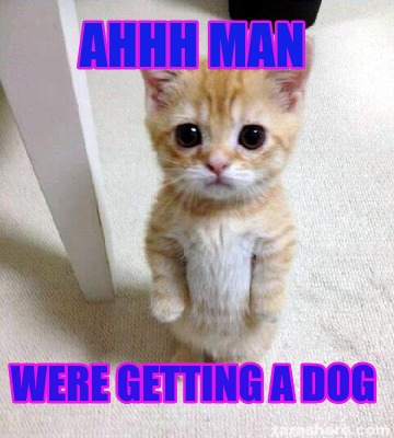 Meme Creator Funny Ahhh Man Were Getting A Dog Meme Generator At Memecreator Org