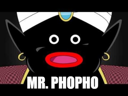 mr.-phopho