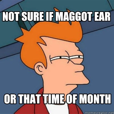 Meme Creator - Funny Not Sure If Maggot Ear Or That Time Of Month Meme 