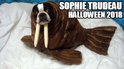 sophie-trudeau-halloween-2018