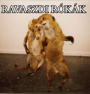 ravaszdi-rkk