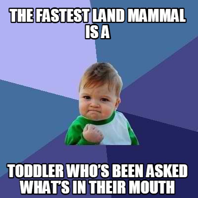 Meme Creator - Funny The fastest land mammal is a toddler who’s been ...