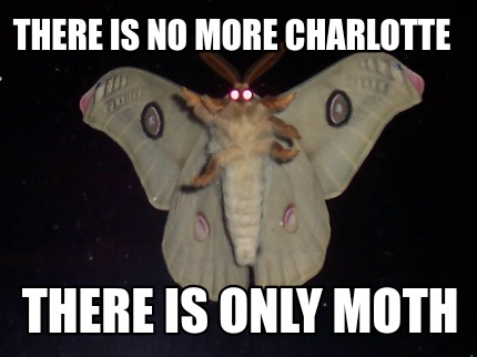 Meme Creator - Funny There is no more Charlotte There is only moth Meme ...