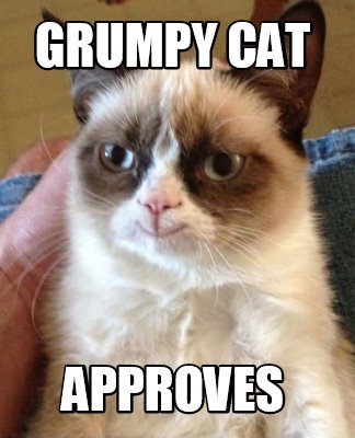 grumpy-cat-approves2