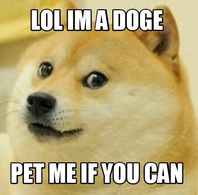 Meme Creator - Funny LoL im a doge PET ME IF YOU CAN Meme Generator at ...