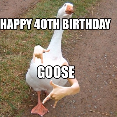 happy-40th-birthday-goose