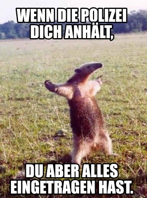 wenn-die-polizei-dich-anhlt-du-aber-alles-eingetragen-hast