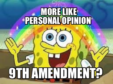 Meme Creator - Funny more like personal opinion 9th amendment? Meme ...