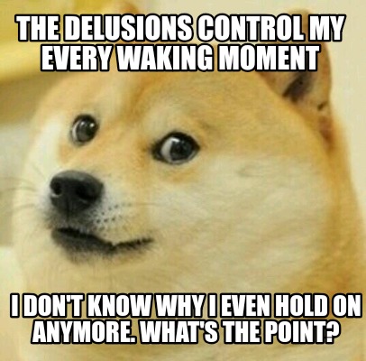 Meme Creator - Funny The delusions control my every waking moment I don ...