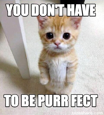 Meme Creator - Funny you don'T HAVE TO BE PURR FECT Meme Generator at ...