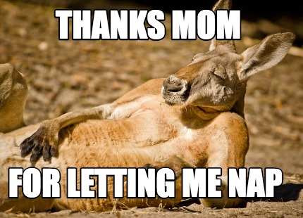 Meme Creator Funny Thanks Mom For Letting Me Nap Meme Generator At Memecreator Org