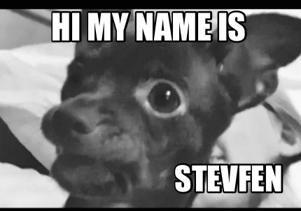 hi-my-name-is-stevfen9